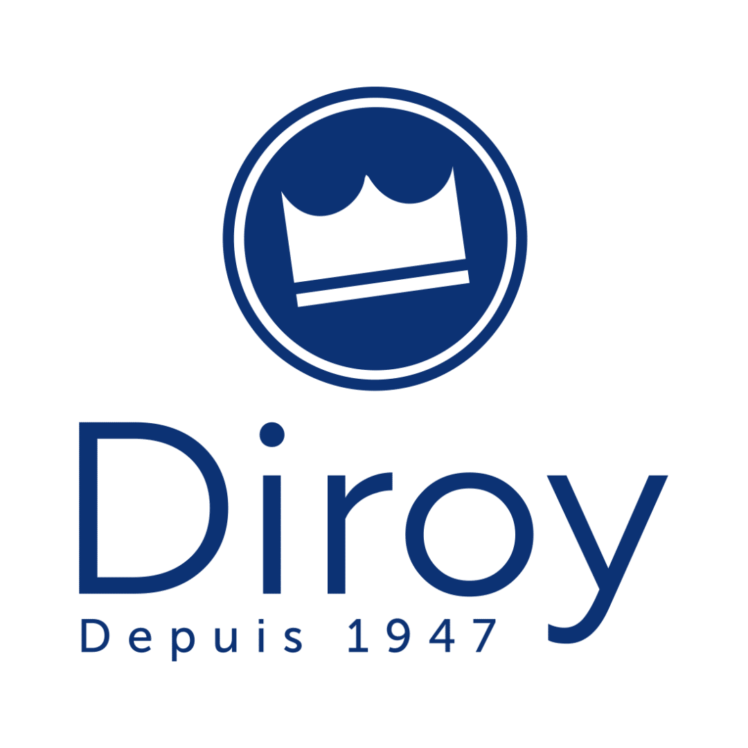 logo-diroy