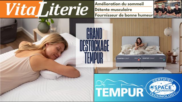 grand déstockage tempur et sealy + bar à oreiller  (3)